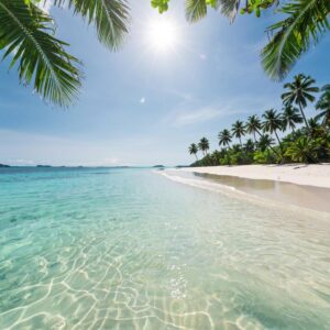 Виды виз в Тайланд