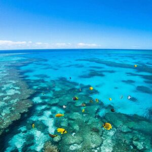 Виза в Австралию