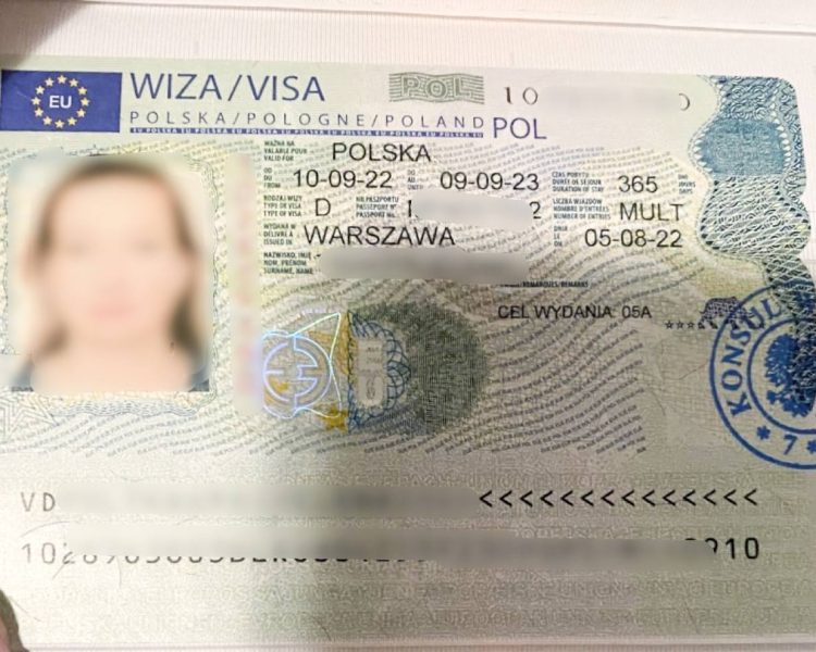 польская виза годовая на год