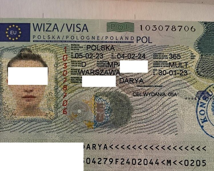 рабочая польская виза на год фото